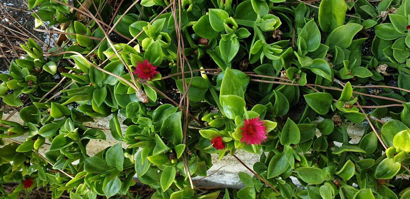 Galaxy Note 9 Review by Samsung Family 4 Galaxy Note 9 Review by Samsung Family