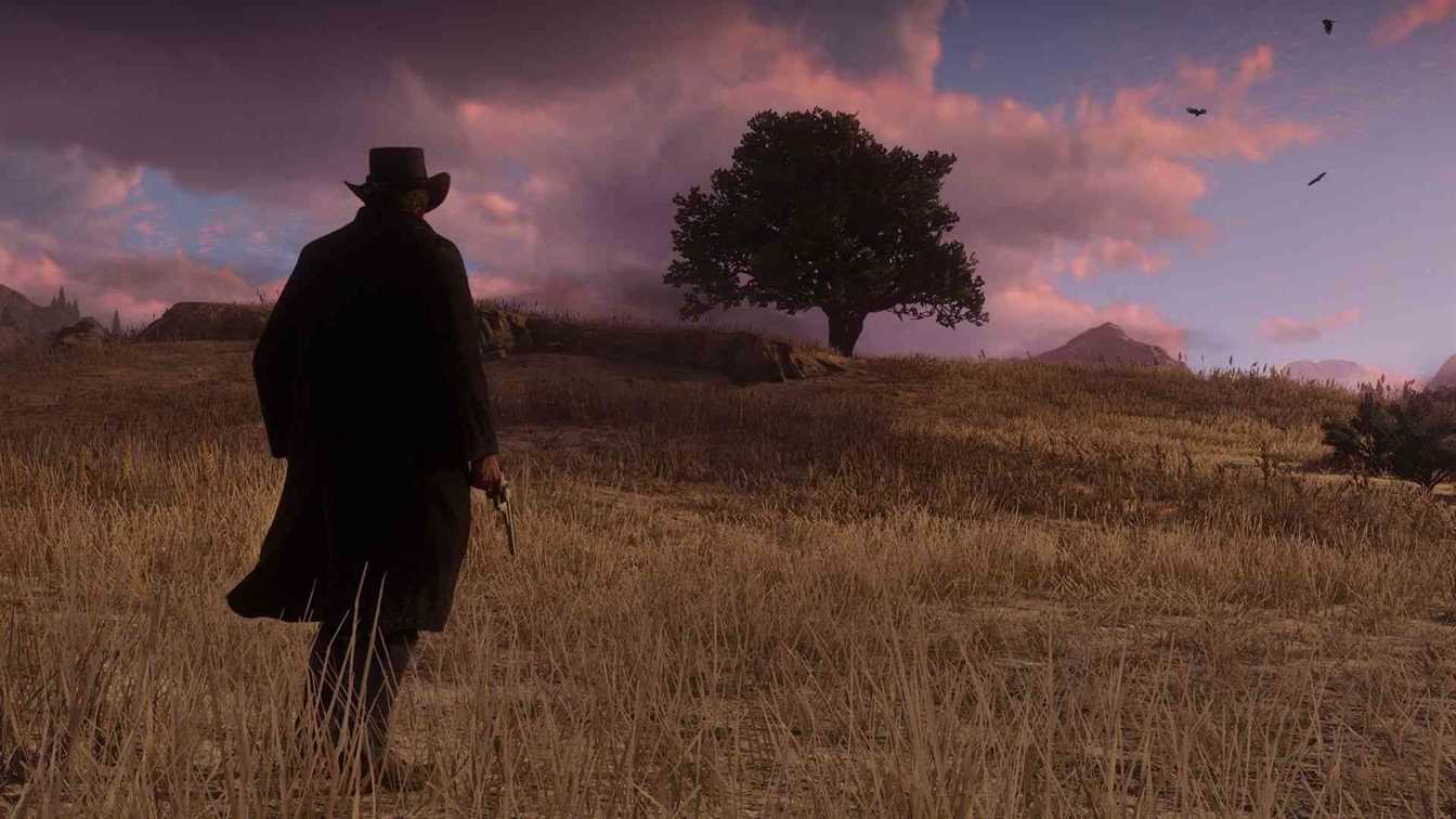 we played red dead redemption 2 7 1