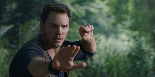 Chris Pratt To Starr Karate-Themed The Black Belt Movie