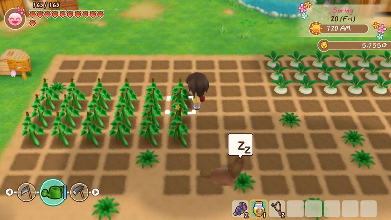Story of Seasons Friends of Mineral Town New PS4 and Xbox One Trailer