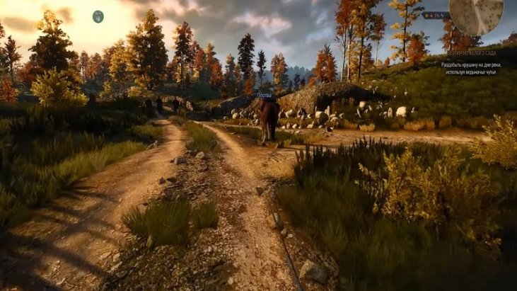 witcher 3 first person mod