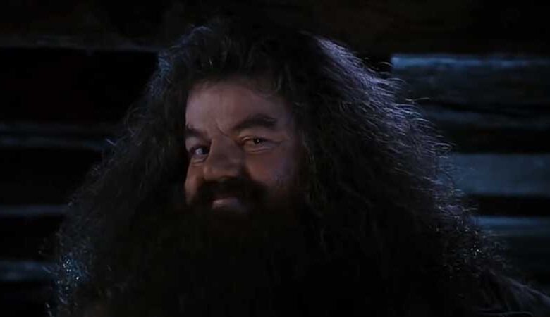 Robbie Coltrane, who played Hagrid in Harry Potter series, dies